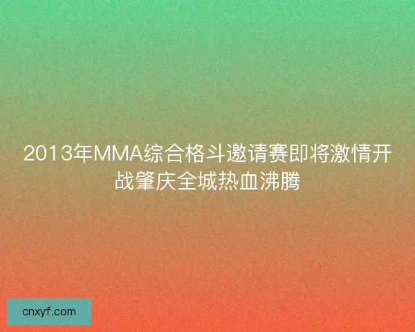 2013年MMA综合格斗邀请赛即将激情开战肇庆全城热血沸腾