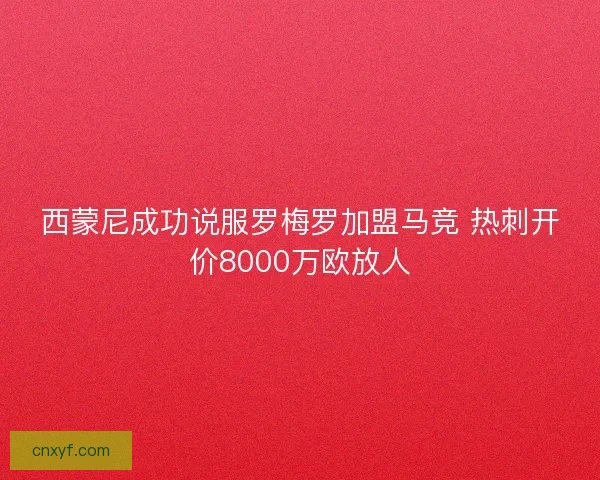 西蒙尼成功说服罗梅罗加盟马竞 热刺开价8000万欧放人